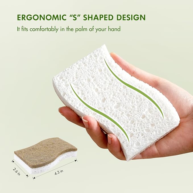 SetSail Natural Kitchen Sponges, 12 Pack Biodegradable Dish Sponges | Non - Image 2