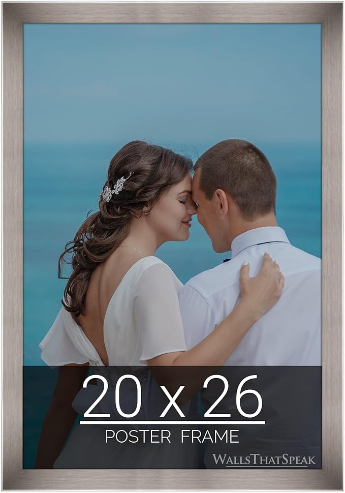 wallsthatspeak 20x26 Stainless Picture Frame for Puzzles Posters Photos or Artwork