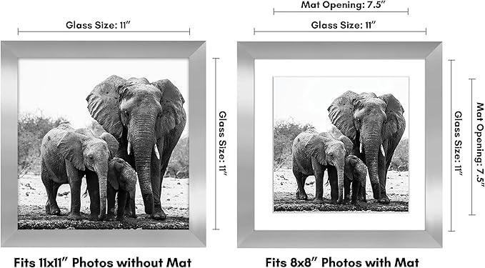 Americanflat 11x11 Picture Frame with Shatter-Resistant Glass - Use as 8x8 Frame with Mat or Display 11x11 Photo Without Mat - Signature Collection - Square Frames for Wall Display - Silver
