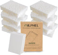 12 Pack Dishwashing Sponges Natural Cellulose Sponges Plant Based Resilient and by NaturalSponges