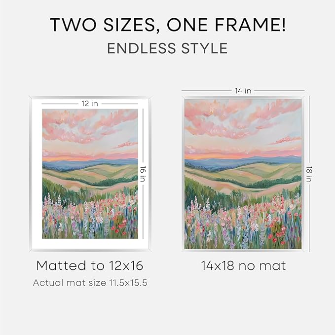 Homeforia 14x18 Picture Frame Silver, High End Metal 14x18 Frames with Mat 12x16 for Photo, 14 x 18 Silver Poster Frame Matted to 12 x 16 Print, 18x14 Hanging Frame, Tempered Glass, Wall Kit, Set of 2