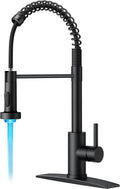 FORIOUS Black Kitchen Faucet by FORIOUS