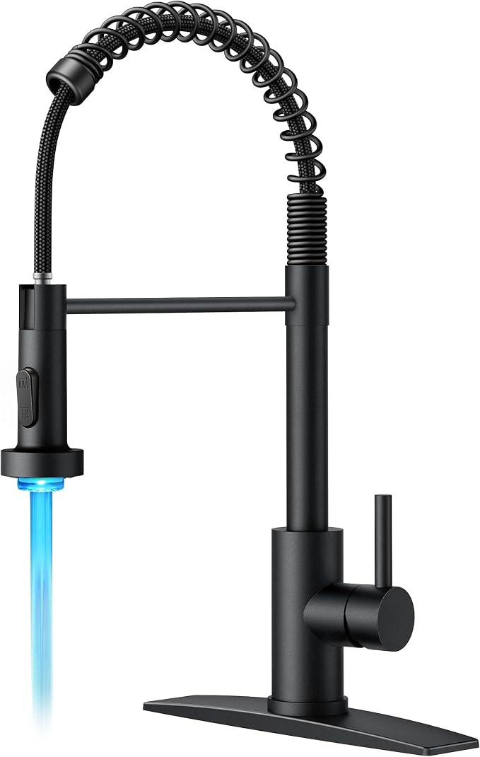 FORIOUS Black Kitchen Faucet by FORIOUS