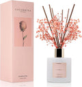 Premium Reed Diffuser Set with Preserved Baby's Breath & Cotton Stick by COCORR%C3%8DNA