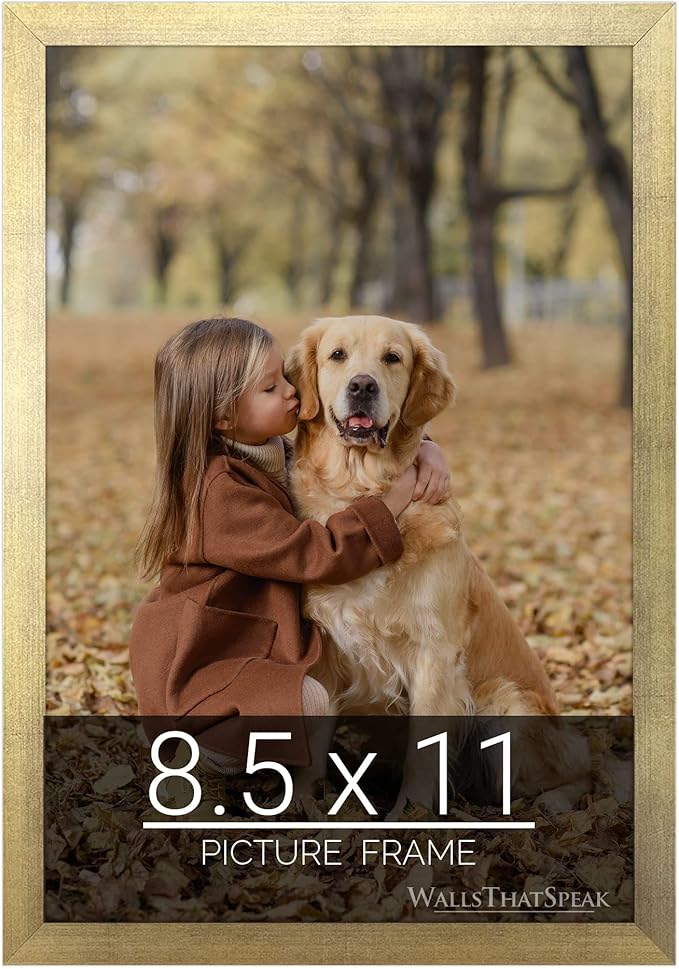 wallsthatspeak 8.5x11 Gold Picture Frame for Puzzles Posters Photos or Artwork