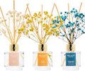 Reed Diffuser Set of 3, Fresh Linen Ocean Mist&Sea Salt Citrus Lemon Oil Reed by Airkeep