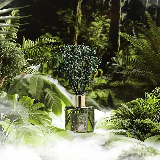 Reed Diffuser - Redwood National Park 6.7 Fl.oz Reed Diffuser Set - Image 3