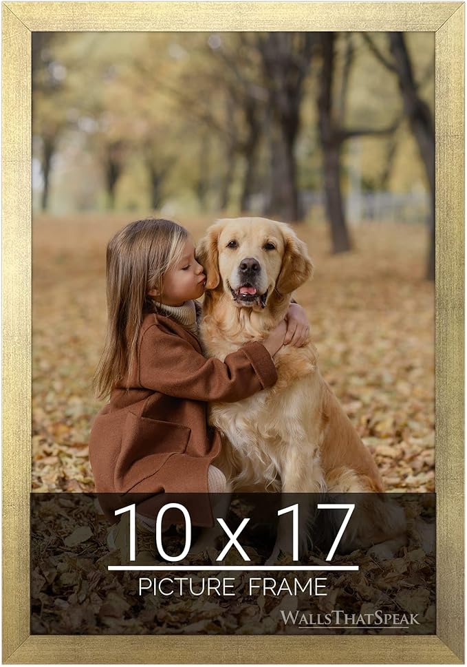 wallsthatspeak 10x17 Gold Picture Frame for Puzzles Posters Photos or Artwork