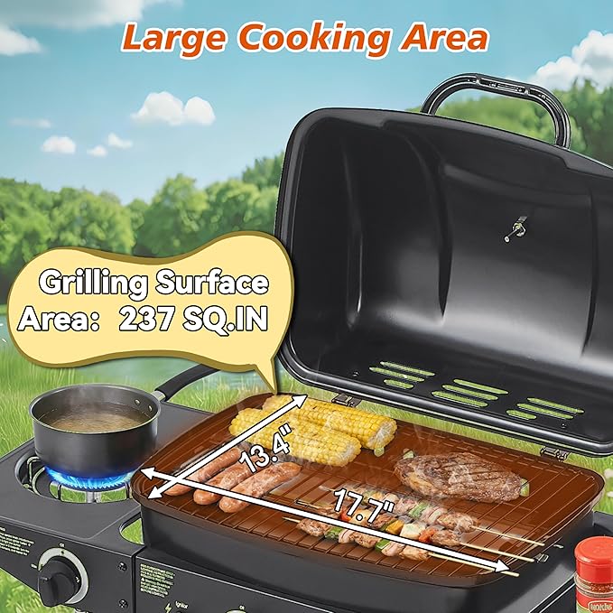 Gas Grill with Side Burner, 2 Burner Propane Grill 24,000 BTU, 237 Sq In Cooking Area, Stainless Steel Outdoor Grill for Backyard, Patio, Balcony