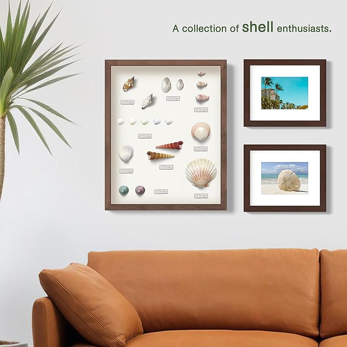 FrameWorks 16" x 20" Black Driftwood Wooden Shadow Box Frame – Soft Felt Back, Tempered Glass, and Included Elegant White Ball Push Pins