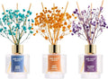 Reed Diffuser Set of 3, Ocean Breeze Sweet Orange Cashmere Vanilla Oil Reed by Airkeep