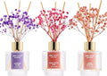 Reed Diffuser Set of 3, Lavender Thyme Sandalwood Rose Cherry Blossom Oil Reed by Airkeep