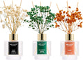 Reed Diffuser Set of 3 by Airkeep