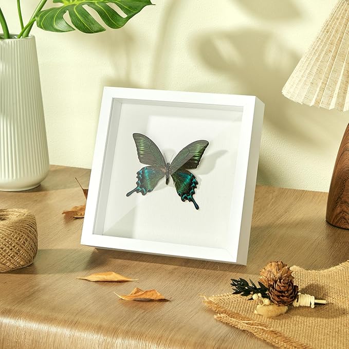 8x8 Shadow Box Display Case Picture Frame with Soft Linen Back,Large Deep White Shadow Box 8x8 for Flowers Medal Display Case Jersey pet Graduation Memorabilia Ltems Crafts Photos
