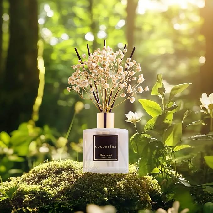 Reed Diffuser Sets, 6.7 fl oz. Black Forest Diffuser - Image 4