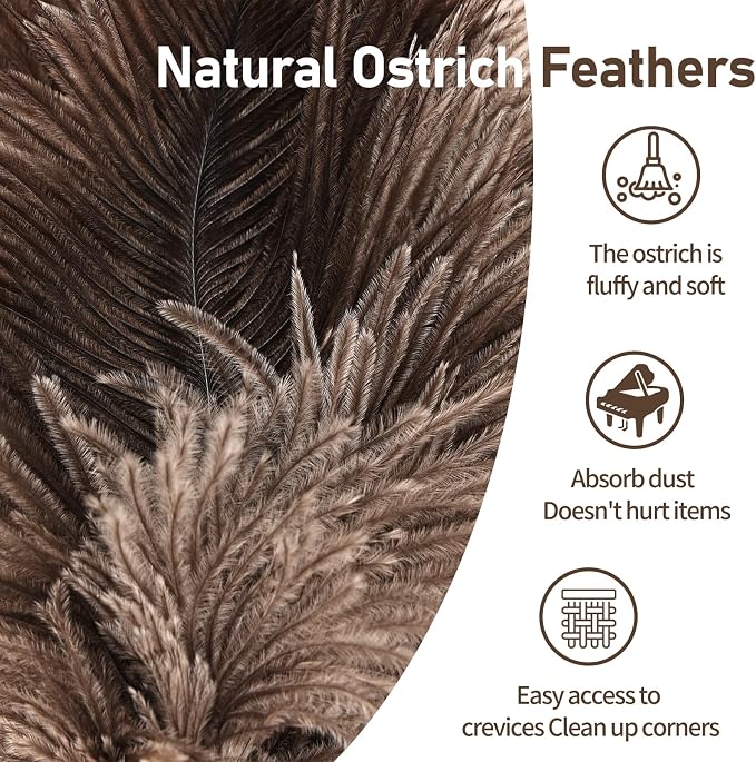 Ostrich Feather Duster 12 Inch Handheld Duster Supplies, Wooden Handle Feather - Image 3