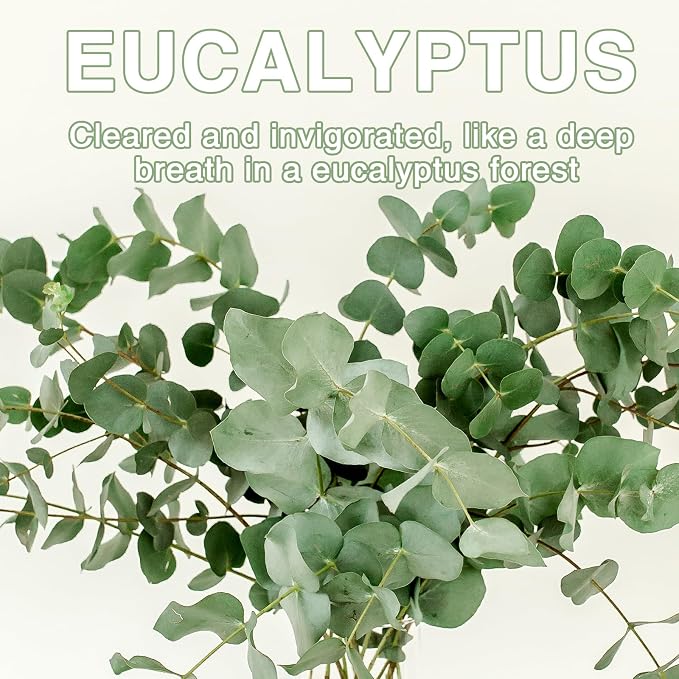 15PCS Eucalyptus Scented Sachets - Image 7