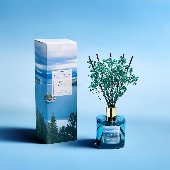 Reed Diffuser - Lake Tahoe 6.7 Fl.oz Reed Diffuser Set - Image 2