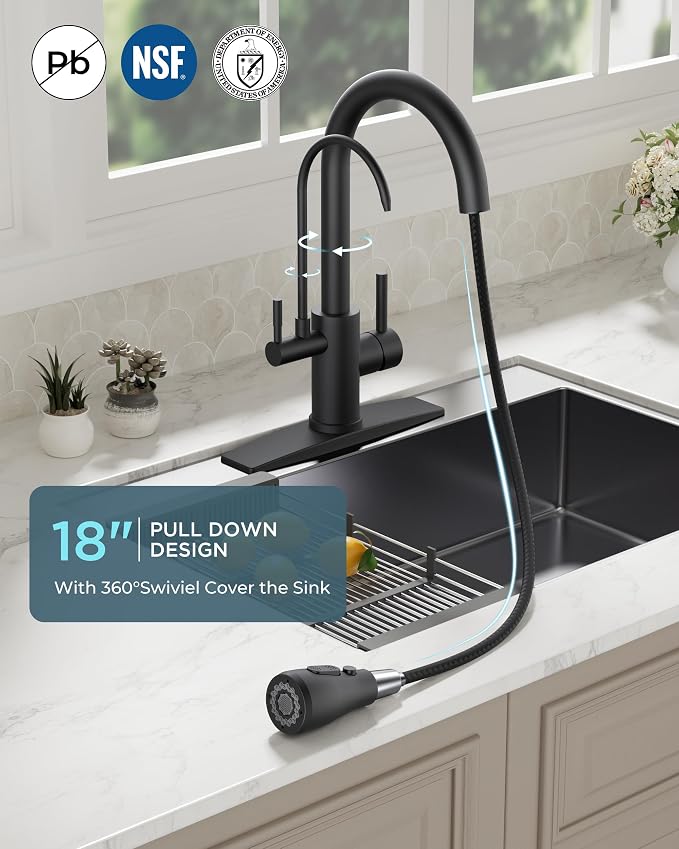 FORIOUS Kitchen Faucets with Purified Water, High Arc 2 Handle, 2-in-1 Pull - Image 3
