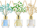 Reed Diffuser Set of 3, Jasmine Mint Gardenia Freesia Pear Oil Reed Diffusers by Airkeep