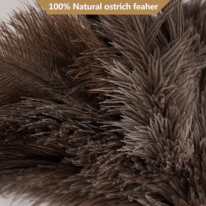 Genuine Ostrich Feather Duster - Image 4