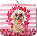 Valentine's Day Dog Dish Drying Mat by Giwawa