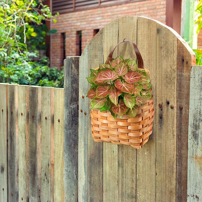 Yinkin 3 Pack 6 Inch Small Wall Hanging Basket Woven Wood Storage Basket - Image 5