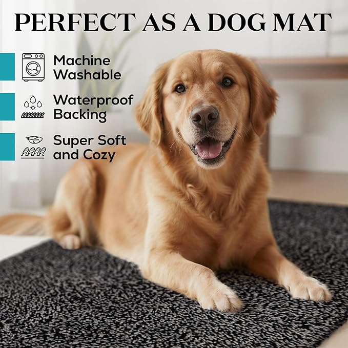 Premium Microfiber Indoor Door Mat – 32"x48" Washable Entry Mat, Non-Slip, Waterproof Backing, Super Absorbent, Low Profile Entryway Doormat for Indoor Entrance