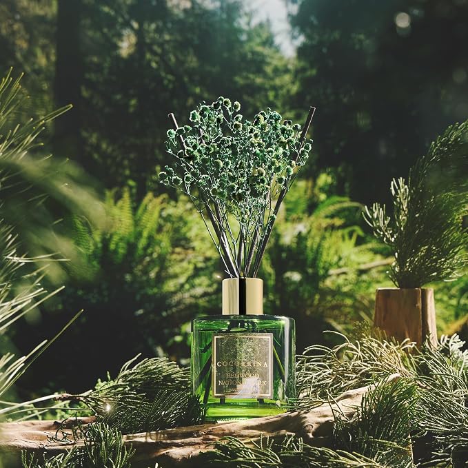 Reed Diffuser - Redwood National Park 6.7 Fl.oz Reed Diffuser Set - Image 6
