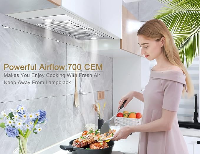 MCBON Range Hood Insert 30 Inch, 700 CFM Range Hood Insert, Ducted/Ductless Convertible Insert Range Hood, Vent Hood Insert, Stainless Steel Hood Range Insert, Built In Range Hood 30 Inch, TE77-30