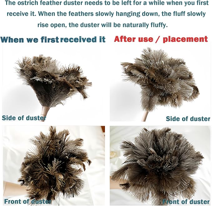 DDZMZ Ostrich Feather Duster for Cleaning - Image 6