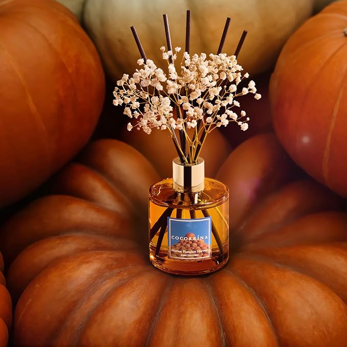 Reed Diffuser - Morton Pumpkin Harvest Reed Diffuser Set - Image 6