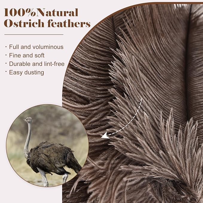 Natural Ostrich Feather Duster 14.9 inch Fluffy Mini Dusters | Handheld - Image 4