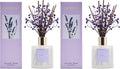 Premium Reed Diffuser Set with Preserved Baby's Breath & Cotton Stick Lavender by COCORR%C3%8DNA