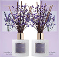 Premium Reed Diffuser Set with Preserved Baby's Breath & Cotton Stick Lavender by COCORR%C3%8DNA