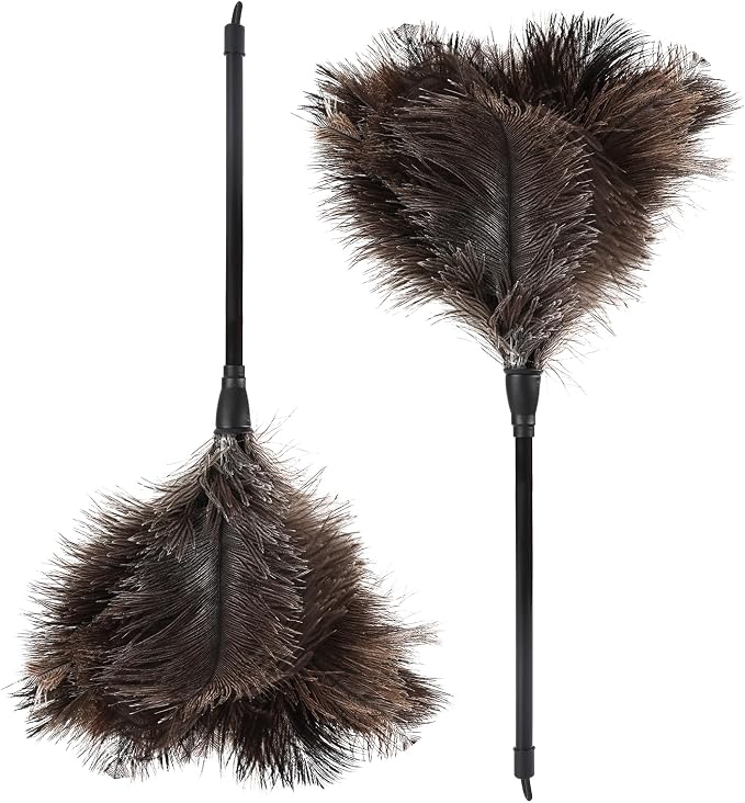 Natural Ostrich Feather Duster 14.9 inch Fluffy Mini Dusters | Handheld by Daieeparty