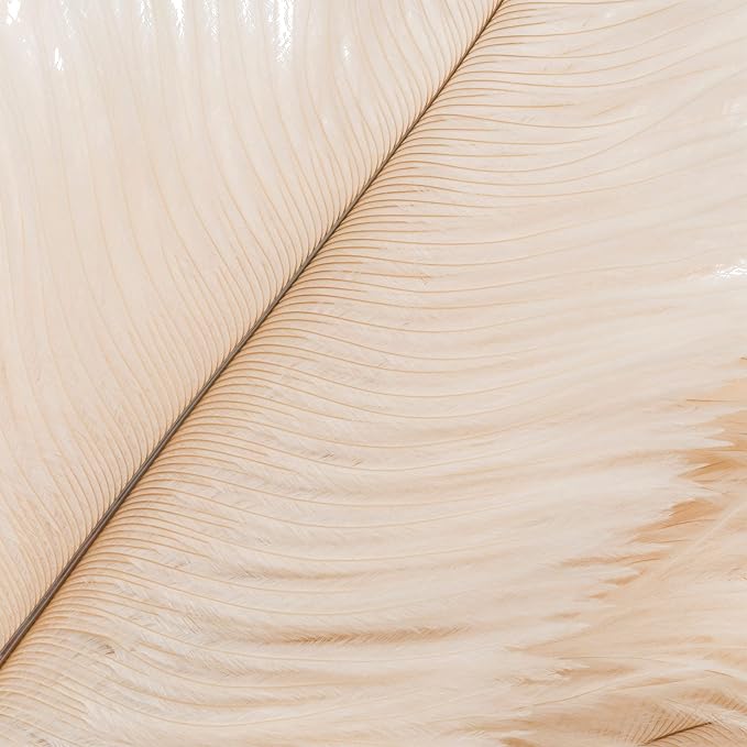 Redecker Ostrich Feather Duster - Image 2