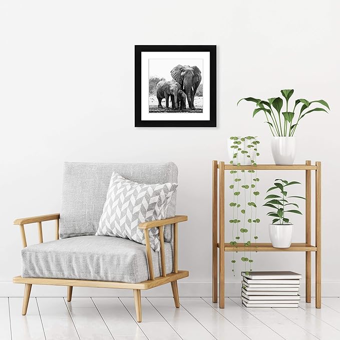 Americanflat 11x11 Picture Frame with Shatter-Resistant Glass - Use as 8x8 Frame with Mat or Display 11x11 Photo Without Mat - Signature Collection - Square Frames for Wall Display - Black