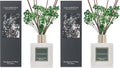 Reed Diffuser Sets- Eucalyptus & Moss Scented Diffuser by COCORR%C3%8DNA