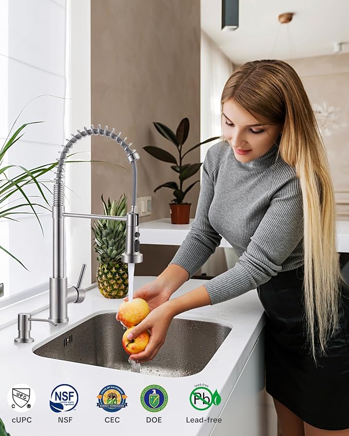 Brushed Nickel Kitchen Sink Faucet: Stainless Steel Kitchen Faucets - Image 2