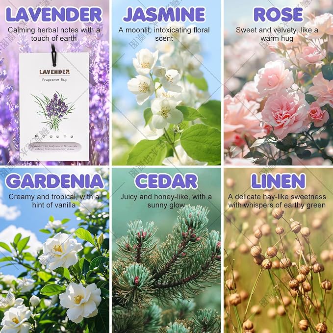 Lavender-12x Fresh Scents Scented Sachet Packet - Image 5