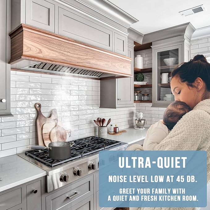 Akicon Range Hood Insert 30 Inch, Ultra Quiet, Powerful Suction Built-in Kitchen Vent Hood, Stainless Steel Ducted Stove Hood with Dimmable LED Lights Warm White, 3-Speeds 600CFM