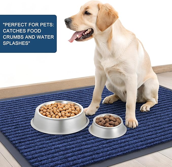 OLANLY Front Door Mat Indoor Outdoor Entrance, Waterproof Heavy Duty Doormat, Fade Resistant, Low Profile, Easy Clean Patio Porch Welcome Floor Mats for Entry, 59x23, Blue
