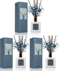 Reed Diffuser - Cashmere Vanilla 6.7 fl oz Reed Diffuser by COCORR%C3%8DNA
