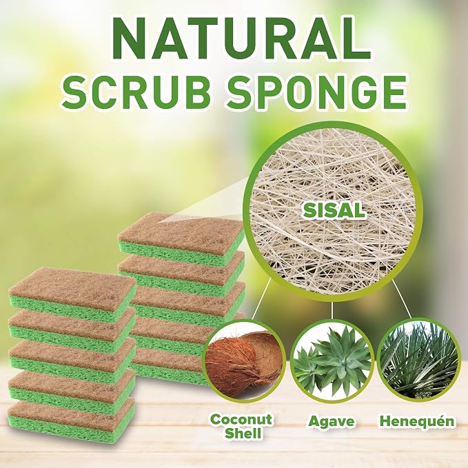 SCRUBIT 48 Pack Natural Sponges - Image 2