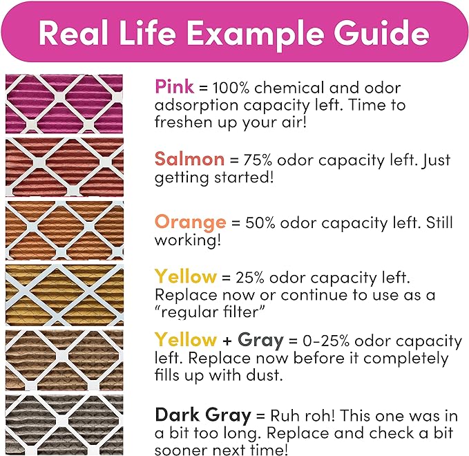 Colorfil 20x25x1 Air Filter (6-Pack) | Made in the USA | Color Changing | Remove Cat and Dog Odor | MERV 8 for Pet Hair Dander and Dust | 19.5"x24.5"x0.75" Exact Size
