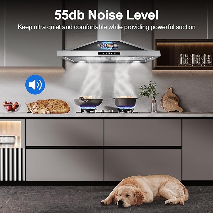 Range Hood 30 inch Wall Mount, Kitchen Vent Hood 450 CFM in Stainless Steel, Stove Vent Hood with Ducted Convertible Ductless, Touch Switch, LEDs Light, 3-Speed Fan, Aluminum Filters