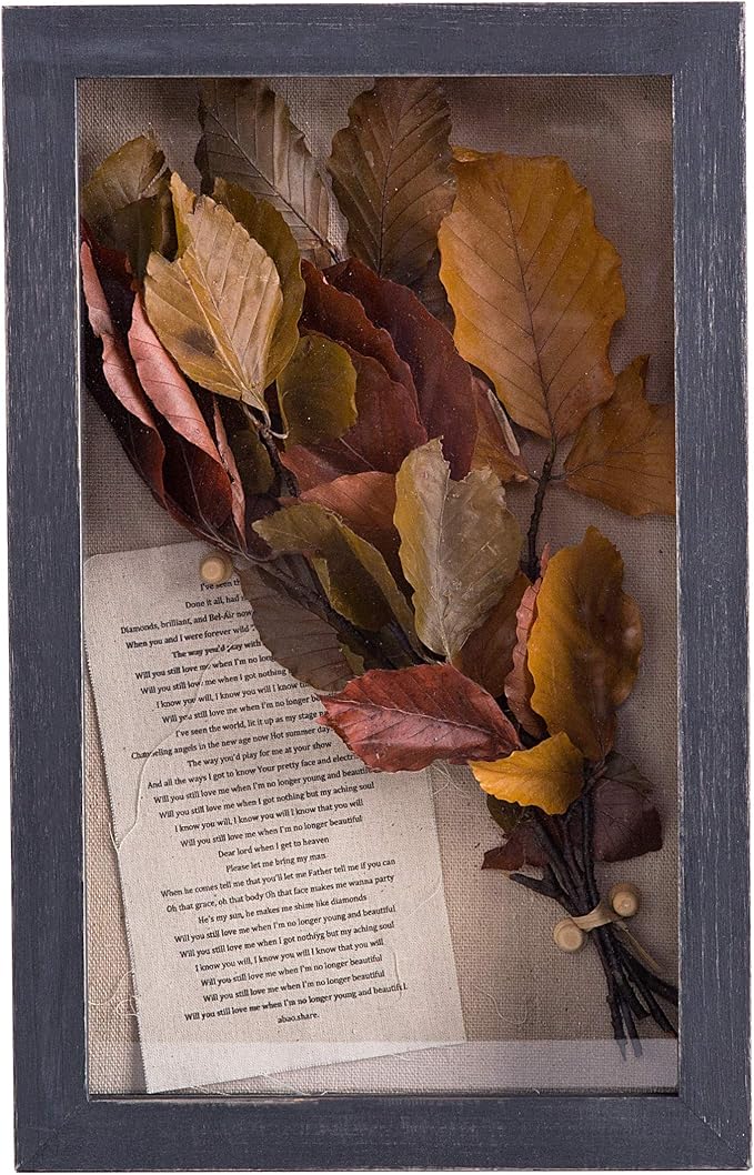 Freezing point Shadow Box Frame 8x12.5 Shadow Box Display Case Cabinet Picture with Linen Back Memorabilia Awards Medals Pin Bouquet Wedding Flower Baby Memory Box for Keepsake Black Large