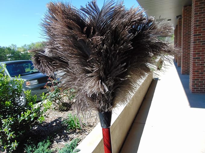28-29 inch Natural Ostrich Feather Duster - Image 5