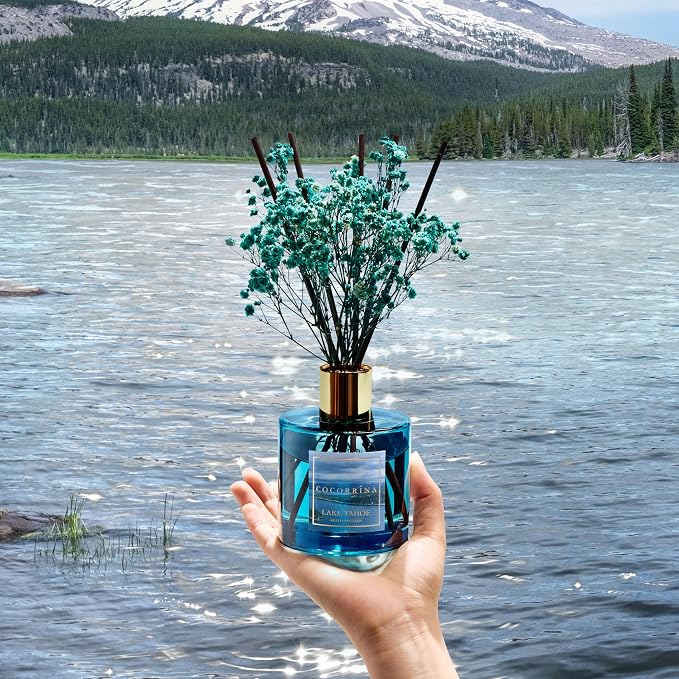 Reed Diffuser - Lake Tahoe 6.7 Fl.oz Reed Diffuser Set - Image 4